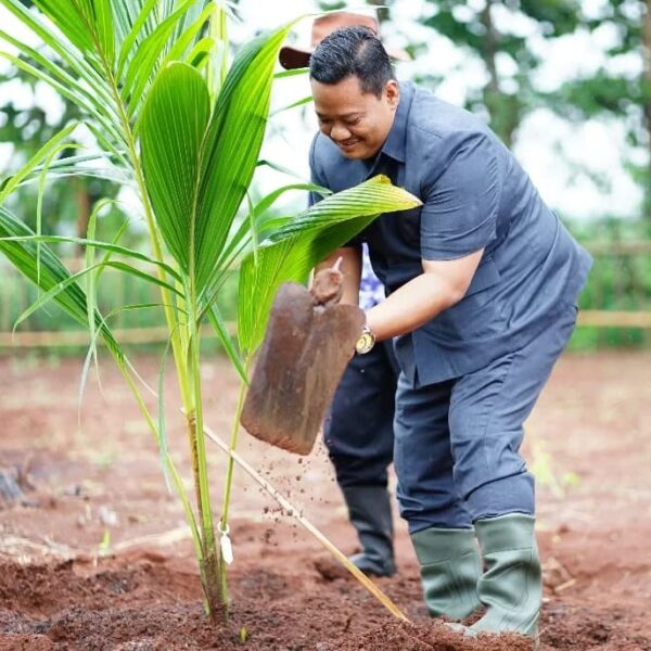 DPRD Pati Ajak Masyarakat Manfaatkan Pekarangan Rumah Tanami Tanaman Pangan