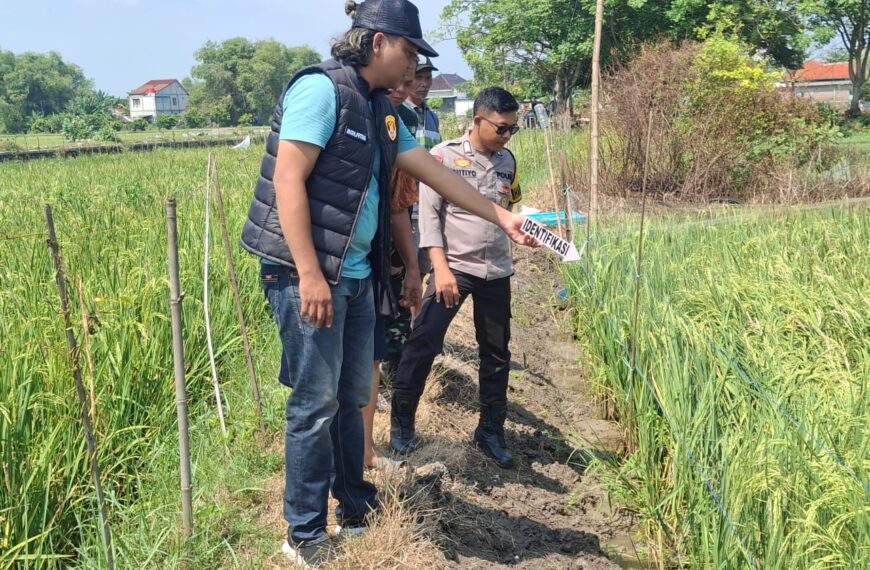 Warga Gadingrejo Juwana Tewas Tersengat Listrik di Persawahan