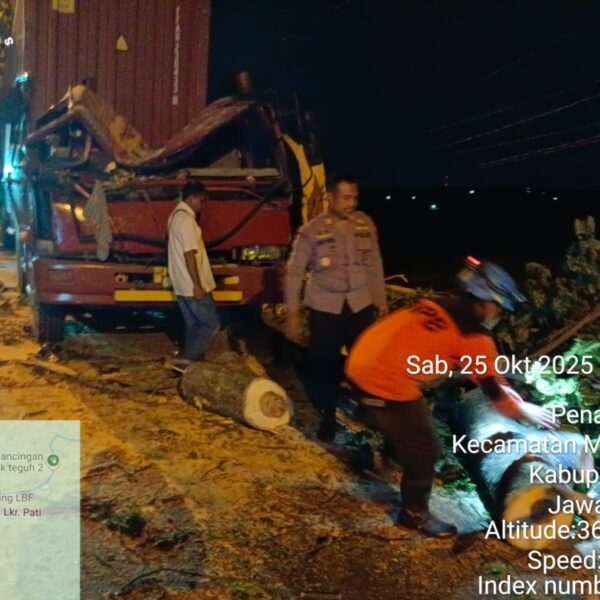 Truk Kontainer Tabrak Pohon Trembesi di Jalan Lingkar Selatan Pati, Polisi Gerak Cepat Evakuasi Lokasi