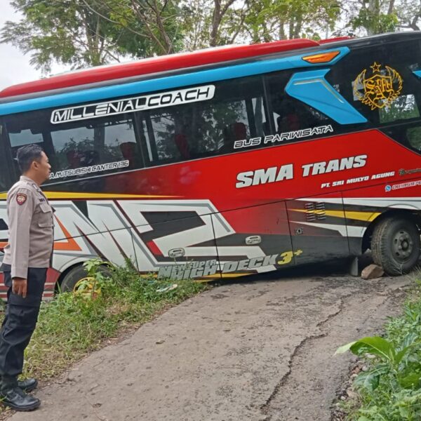 BUS ROMBONGAN ZIARAH TERPEROSOK DI TANJAKAN DESA PLUKARAN GEMBONG, TAK ADA KORBAN JIWA