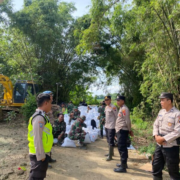 Polisi Bergerak Cepat! Polsek Batangan Tangani Tanggul Jebol Sungai Gandam, Cegah Banjir Susulan