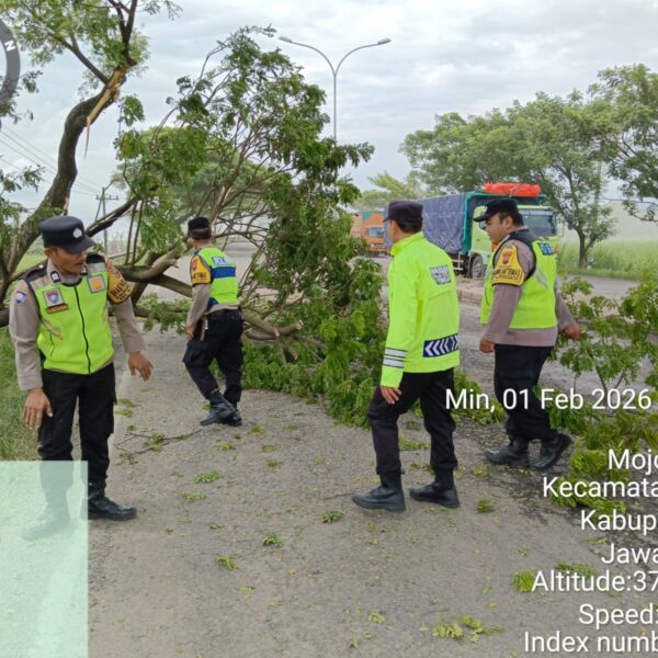Polisi Pati Satset Evakuasi Pohon Tumbang di JLS Penambuhan