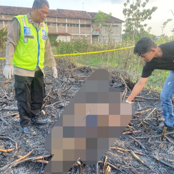 Tragis, Petani Meninggal Saat Membakar Daun Tebu di Sawah Wedarijaksa